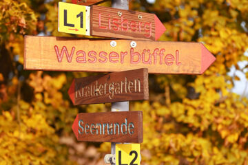 LANDGASTHOF ALTES KURHAUS Lisberg