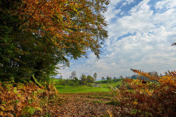 TERME SNOVIK Laze v Tuhinju