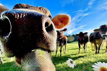HÔTEL RESTAURANT LES CERNETS VAL-DE-TRAVERS Les Verrières